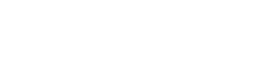 Brunswick Brunswick Logo